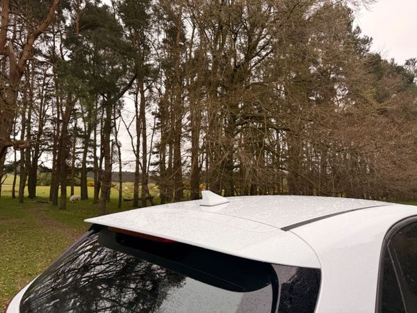 Kia Ceed 2021 2 Seat Commercial 385043462