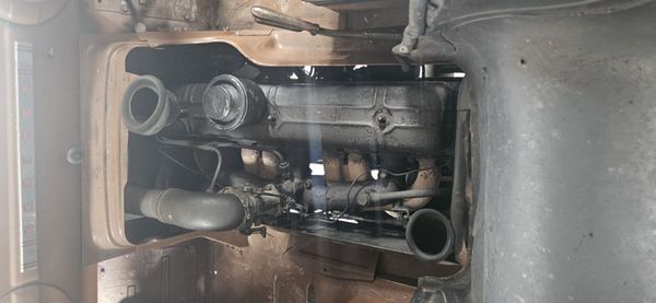 Bedford Green Goddess 385243040