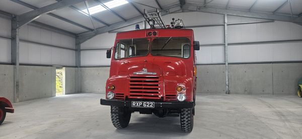 Bedford Green Goddess 385243041