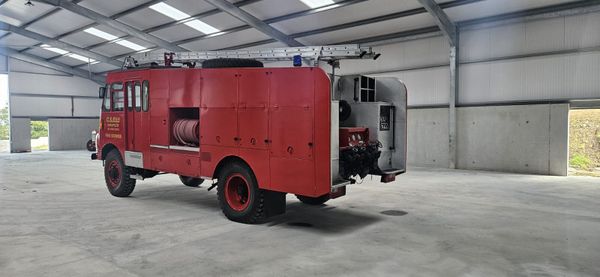 Bedford Green Goddess 385243043