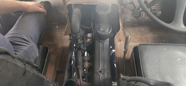 Bedford Green Goddess 385243045