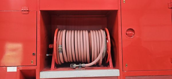 Bedford Green Goddess 385243046