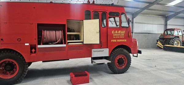 Bedford Green Goddess 385243047