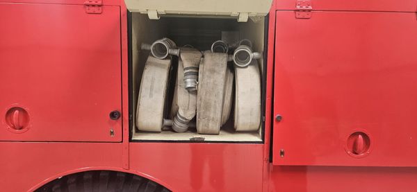 Bedford Green Goddess 385243050