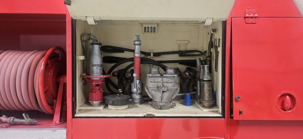 Bedford Green Goddess 385243051