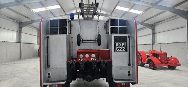 Bedford Green Goddess 385243054