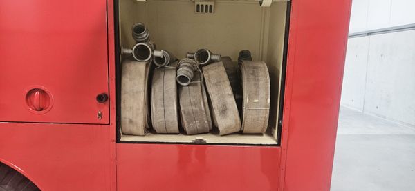 Bedford Green Goddess 385243055