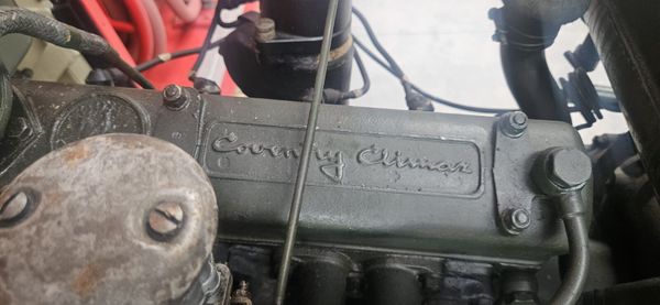 Bedford Green Goddess 385243056