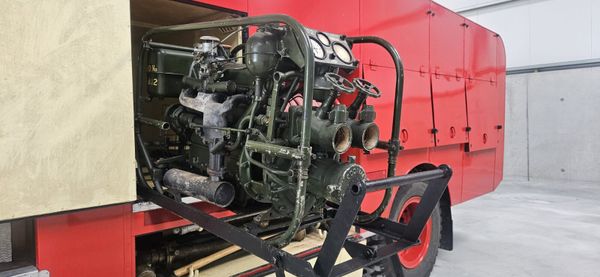 Bedford Green Goddess 385243060