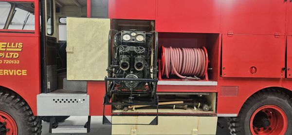 Bedford Green Goddess 385243062