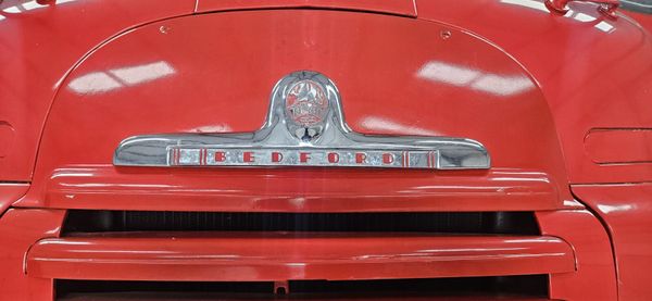 Bedford Green Goddess 385243063