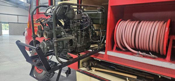 Bedford Green Goddess 385243064