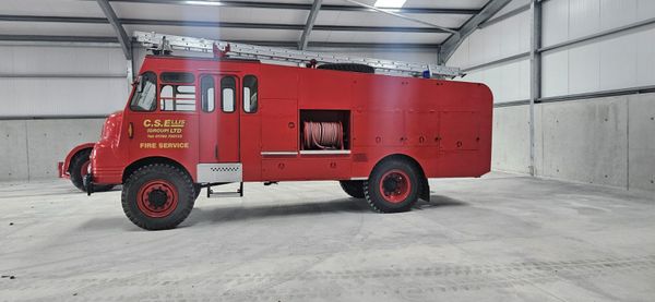 Bedford Green Goddess 385243034