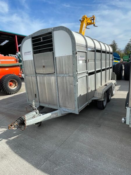 Nugent Tri Axle 12x6 LiveStock Trailer 386356941