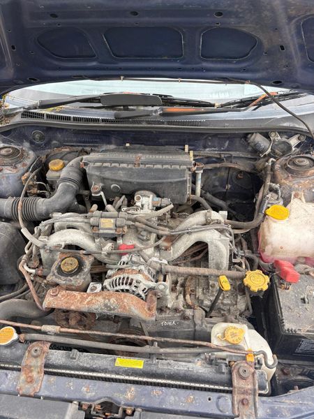 00 subura Impreza estate 386911755