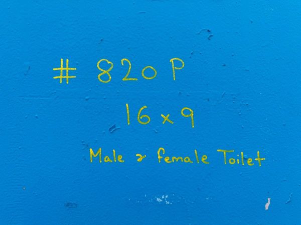 16 X 9 TOILET BLOCK UNIT ...male / female ...820p 386914374