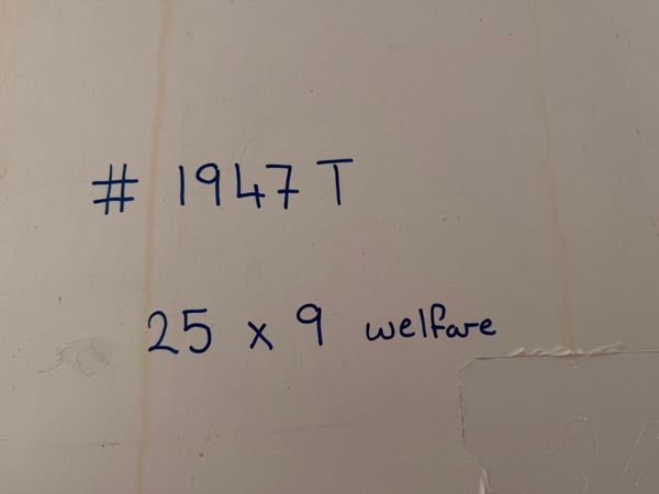 25 X 9 welfare cabin , toilet , canteen , generato 387356047