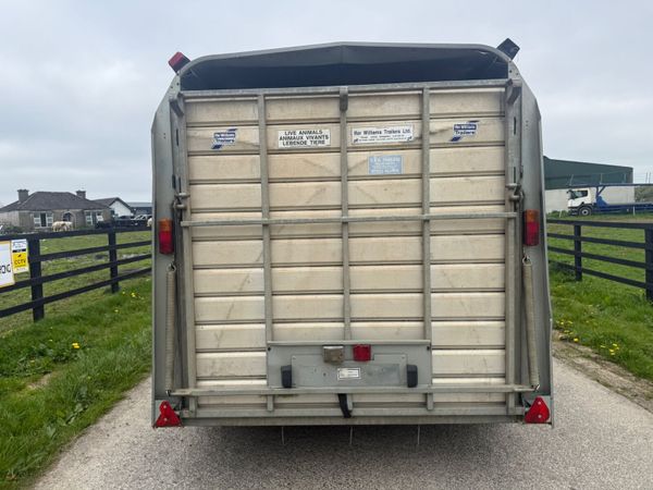 2017 Ifor Williams 12ft Cattle Trailer***** 387408908