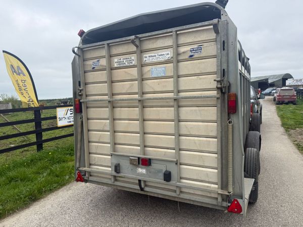 2017 Ifor Williams 12ft Cattle Trailer***** 387408910