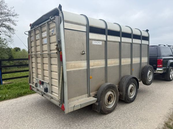 2017 Ifor Williams 12ft Cattle Trailer***** 387408911