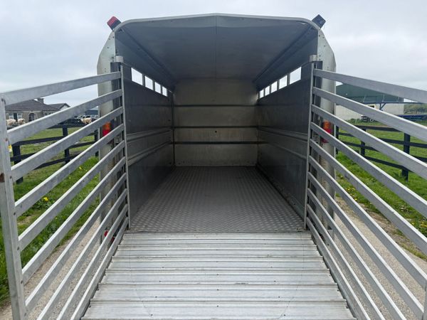 2017 Ifor Williams 12ft Cattle Trailer***** 387408915