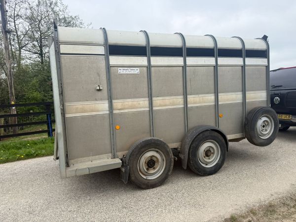 2017 Ifor Williams 12ft Cattle Trailer***** 387408916