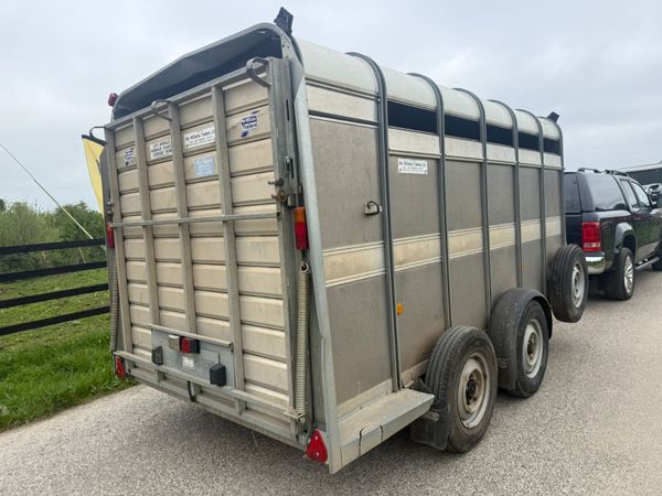 2017 Ifor Williams 12ft Cattle Trailer***** 387408917