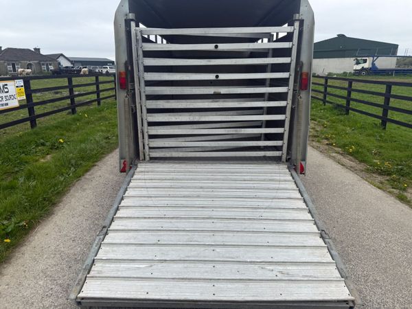 2017 Ifor Williams 12ft Cattle Trailer***** 387408918
