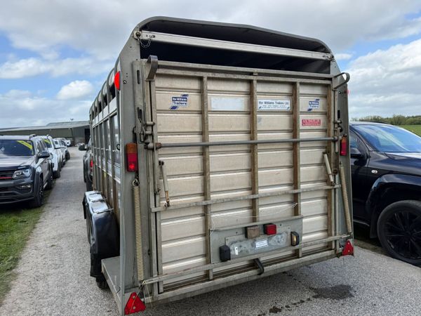 2021 Ifor Williams 14ft  Cattle  & Sheep Trailer 387409048