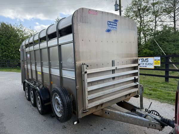 2021 Ifor Williams 14ft  Cattle  & Sheep Trailer 387409049