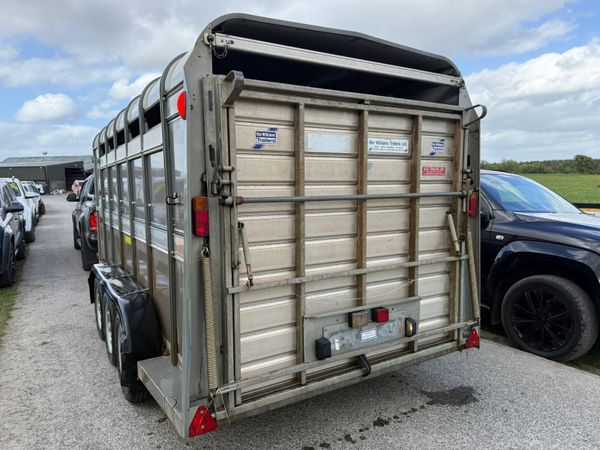 2021 Ifor Williams 14ft  Cattle  & Sheep Trailer 387409051