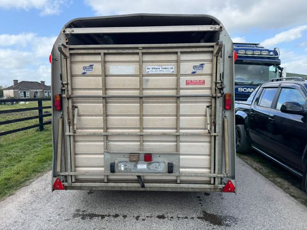 2021 Ifor Williams 14ft  Cattle  & Sheep Trailer 387409058