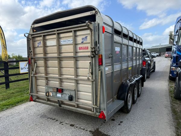 2021 Ifor Williams 14ft  Cattle  & Sheep Trailer 387409063
