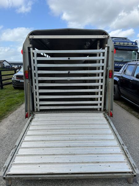 2021 Ifor Williams 14ft  Cattle  & Sheep Trailer 387409064