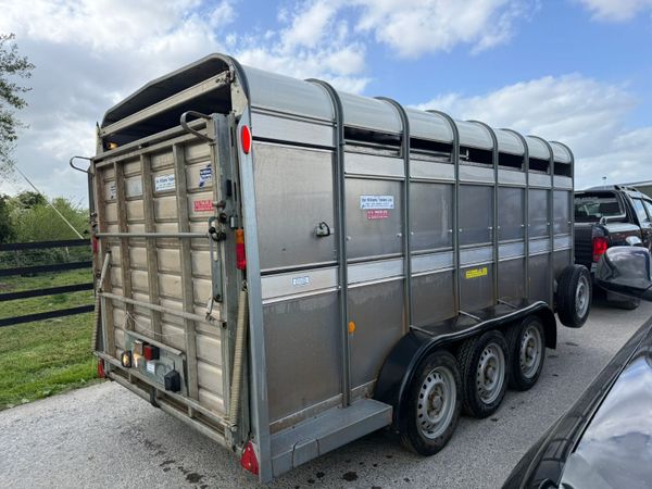2021 Ifor Williams 14ft  Cattle  & Sheep Trailer 387409065