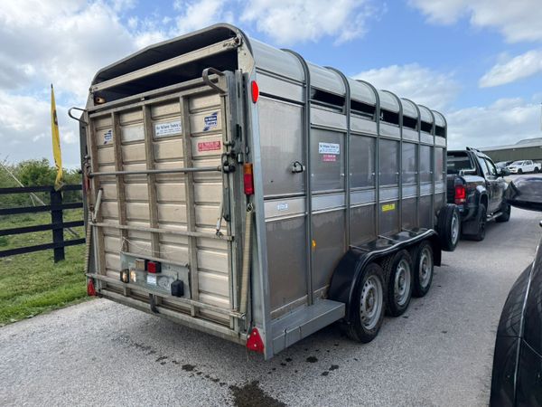 2021 Ifor Williams 14ft  Cattle  & Sheep Trailer 387409068