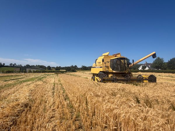 Combine 392682440