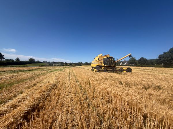 Combine 392682441