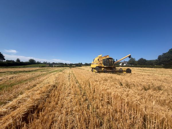 Combine 392682444
