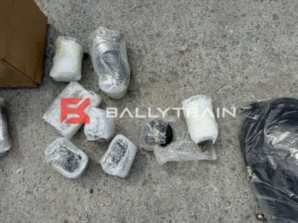 Deutz TCD 2013 L04 2V Engine (New) 393767129