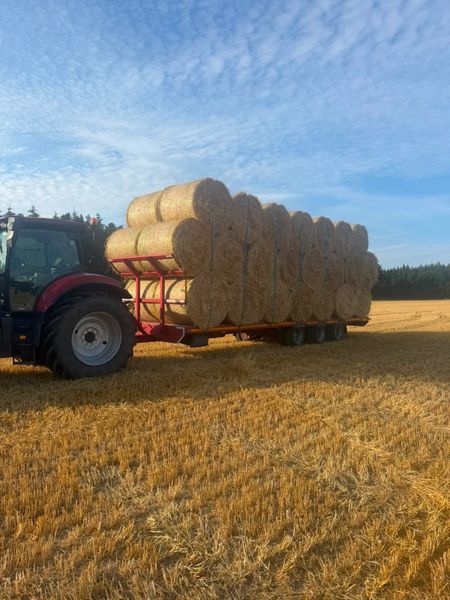 4x4 golden barley straw 395245512