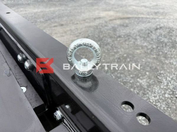 Ballytrain M810TP Twin Pole Overband Magnet (Elec) 395468557