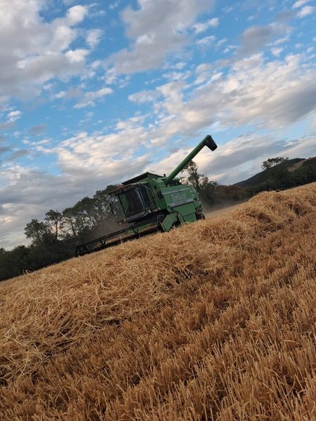 Combines 395476519
