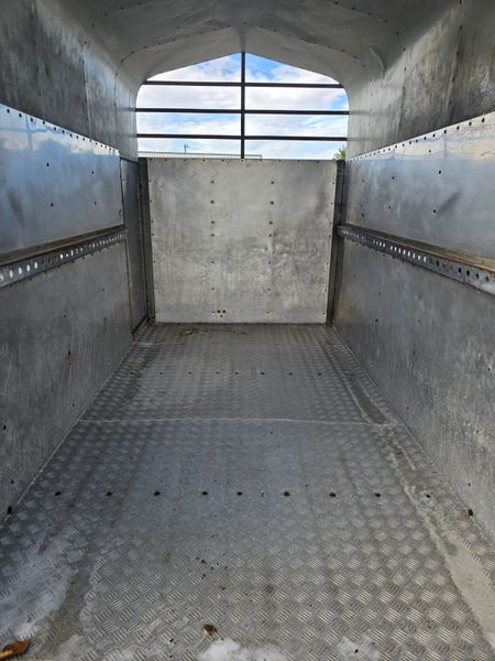 Cattle Trailer 10x5 395423014