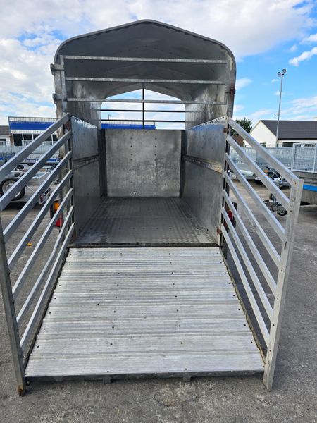 Cattle Trailer 10x5 395423015