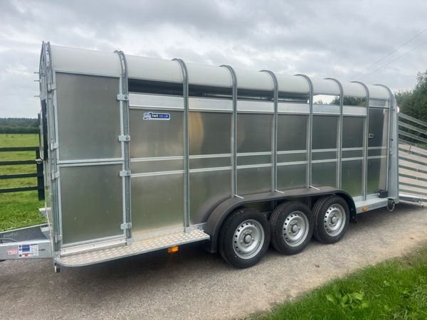 New 16ft Ifor Williams Cattle Trailer***** 397921333