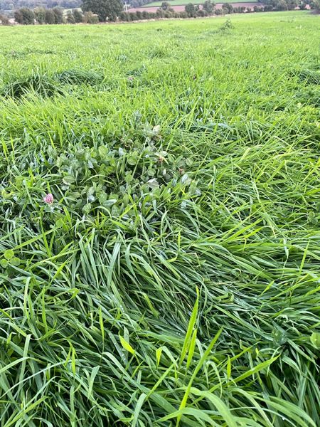 silage grab | 125 Farming Ads For Sale in Ireland | DoneDeal