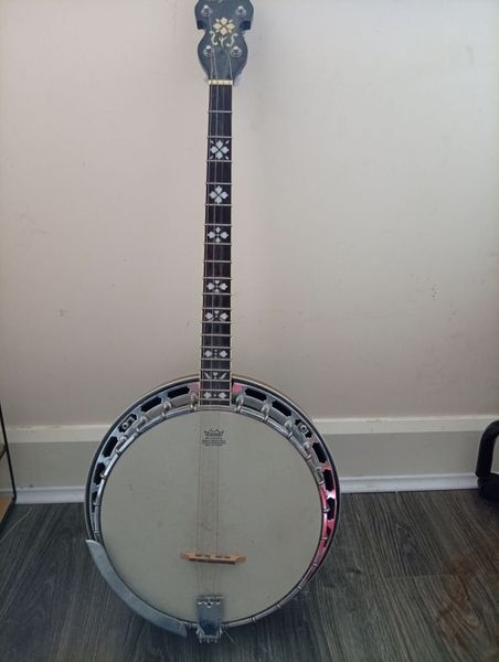 stringed instruments | 37 Instruments Ads For Sale in Ireland | DoneDeal